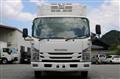2019 Isuzu Elf Truck