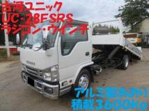 2017 Isuzu Elf Truck