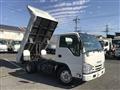 2020 Isuzu Elf Truck