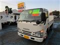 2019 Isuzu Elf Truck