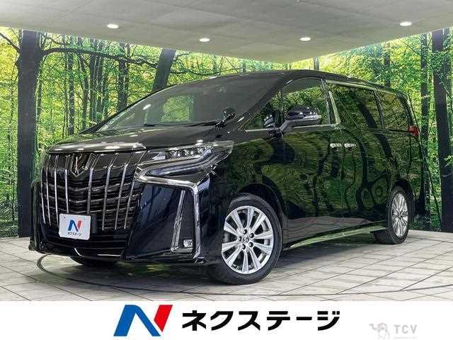 2020 Toyota Alphard G