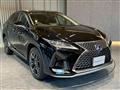 2019 Lexus RX