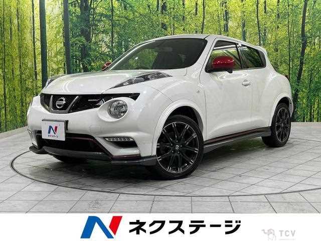 2013 Nissan Juke