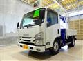 2019 Isuzu Elf Truck