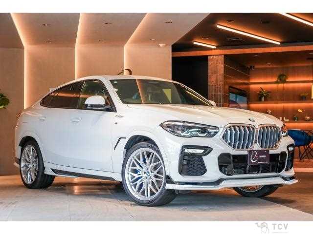 2020 BMW X6