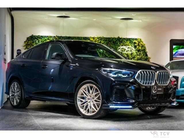 2022 BMW X6