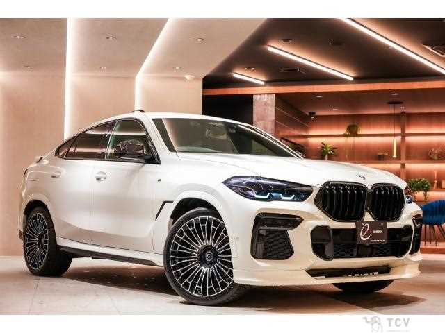 2022 BMW X6