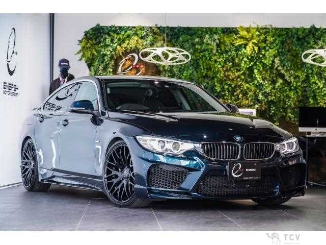 2018 BMW BMW Others
