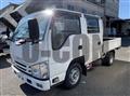 2019 Isuzu Elf Truck