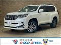 2019 Toyota Land Cruiser Prado