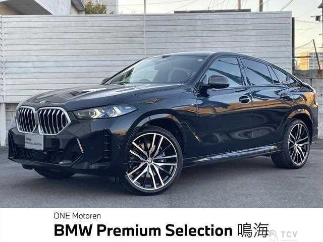 2025 BMW X6
