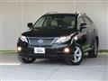 2009 Lexus RX