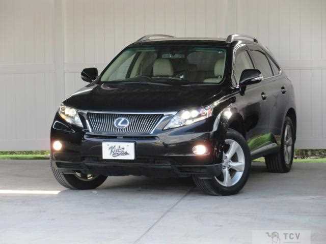 2009 Lexus RX