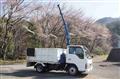 2004 Isuzu Elf Truck