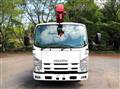 2011 Isuzu Elf Truck