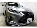 2020 Lexus RX