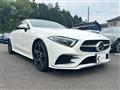 2019 Mercedes-Benz Cls-Class