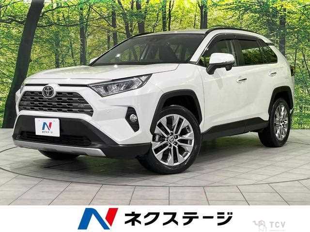 2020 Toyota RAV4