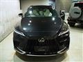 2025 Lexus RX