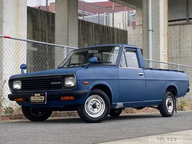 1991 Nissan Sunny Truck