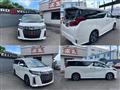 2019 Toyota Alphard G