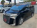 2020 Toyota Alphard G