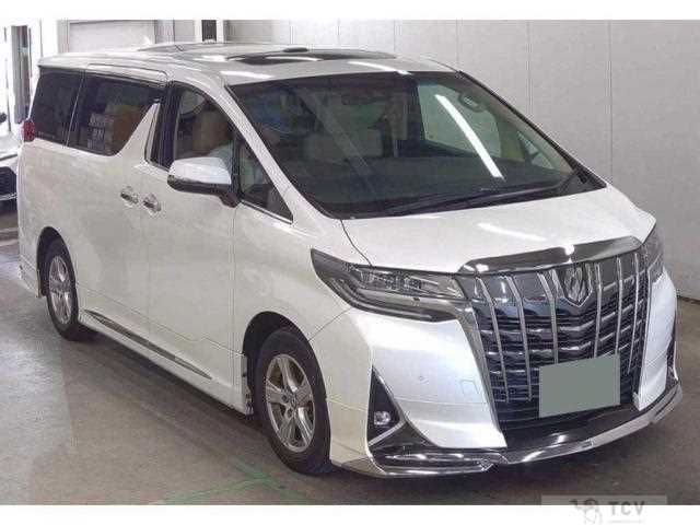 2019 Toyota Alphard G