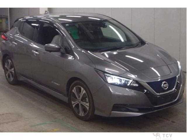 2021 Nissan Leaf