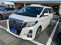 2016 Toyota Alphard G