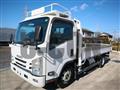 2020 Isuzu Elf Truck