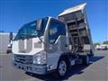 2018 Isuzu Elf Truck