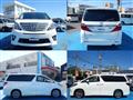 2013 Toyota Alphard G