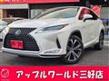 2019 Lexus RX