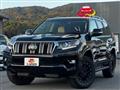 2019 Toyota Land Cruiser Prado