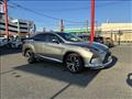 2019 Lexus RX