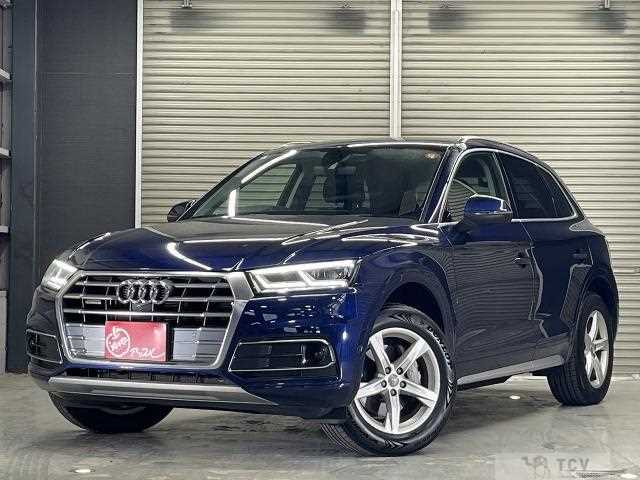 2019 Audi Q5
