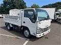2023 Isuzu Elf Truck