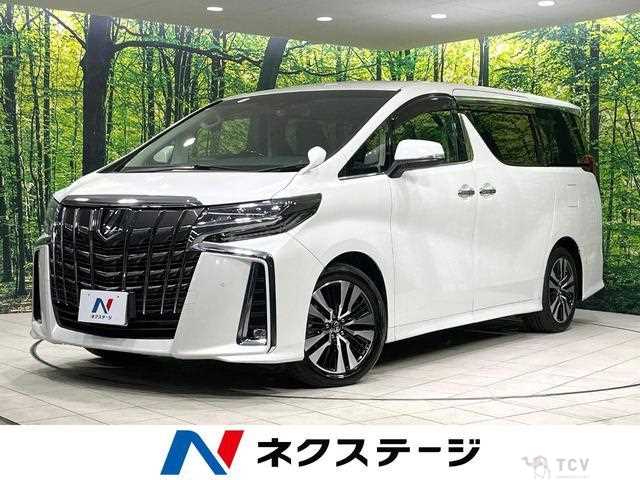 2019 Toyota Alphard G