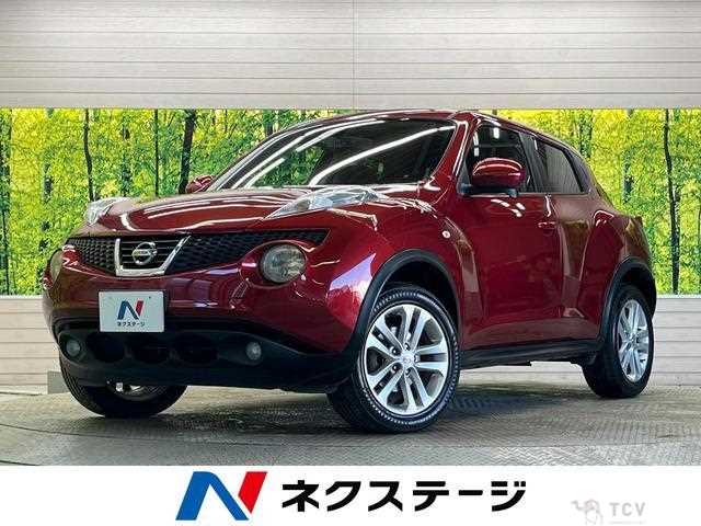 2010 Nissan Juke