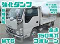 2021 Isuzu Elf Truck