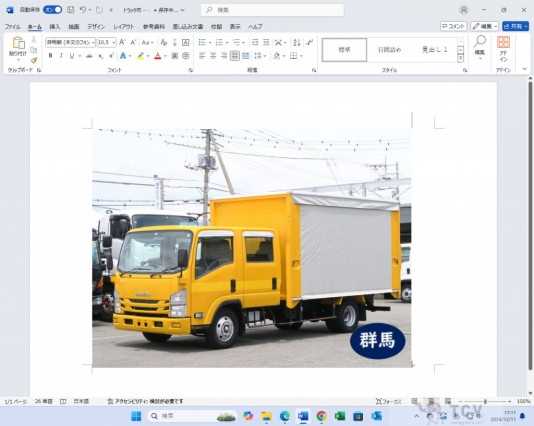 2018 Isuzu Elf Truck