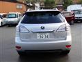 2010 Lexus RX