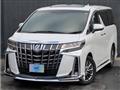 2019 Toyota Alphard G