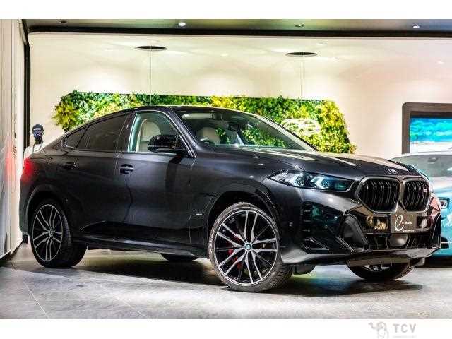 2024 BMW X6