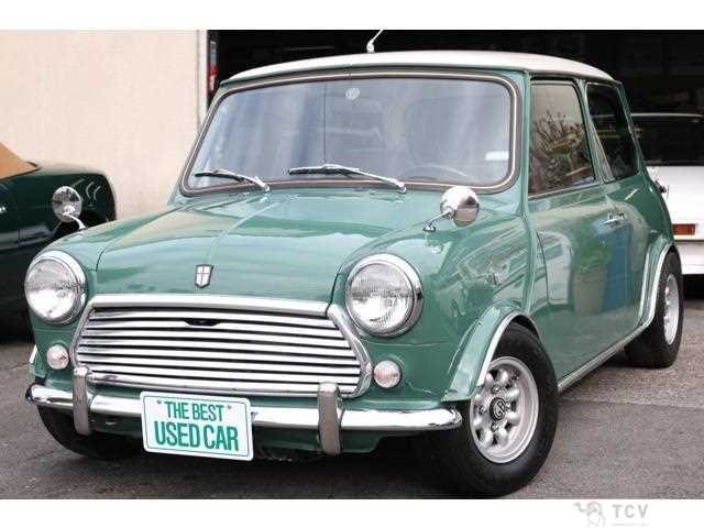 1991 Rover Mini