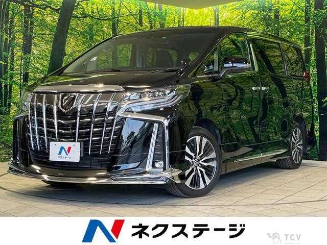 2022 Toyota Alphard G