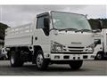 2018 Isuzu Elf Truck