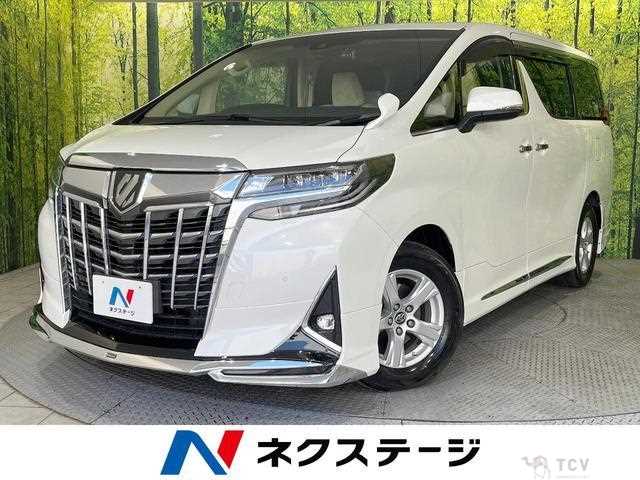2019 Toyota Alphard G