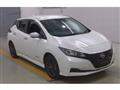 2021 Nissan Leaf