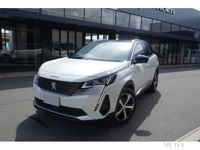 2021 Peugeot Peugoet Others